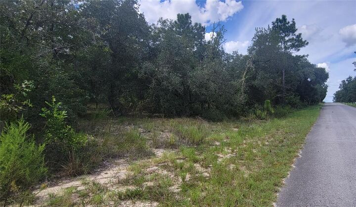 Property Photo: 0 SW Big Bear Ridge FL 34431