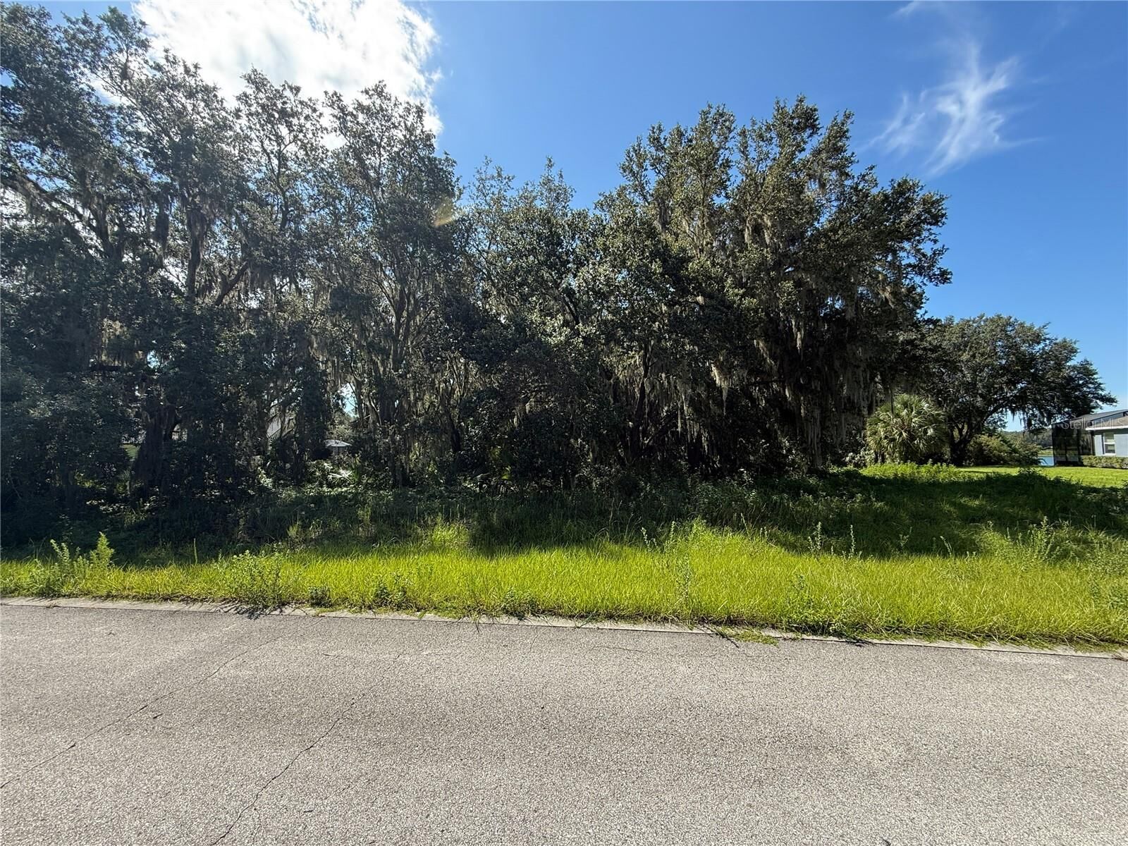 Property Photo:  Lot 98 Bear Den Drive  FL 32736 