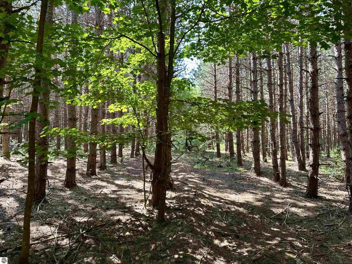 Property Photo: 000 Baver Road MI 49635