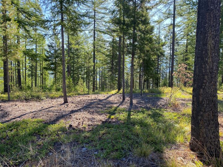 Property Photo: 17768 Thornburg Way MT 59808