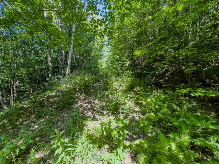 Property Photo: 00 Brushwood Road NH 03765