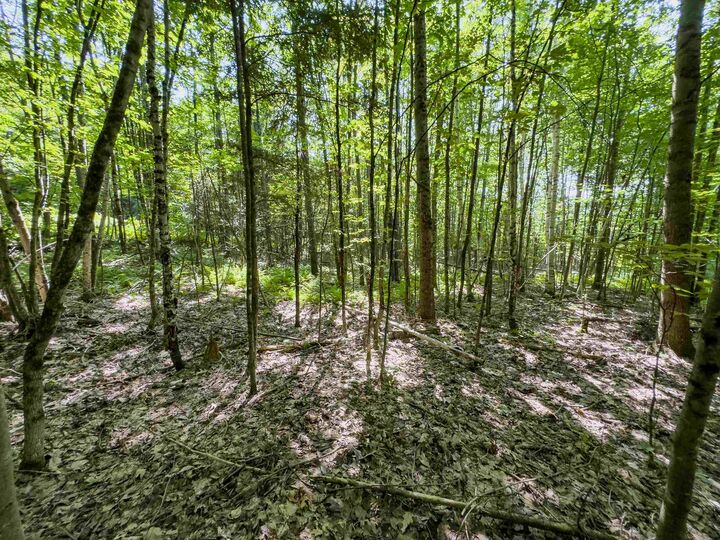 Property Photo: 00 Brushwood Road NH 03765