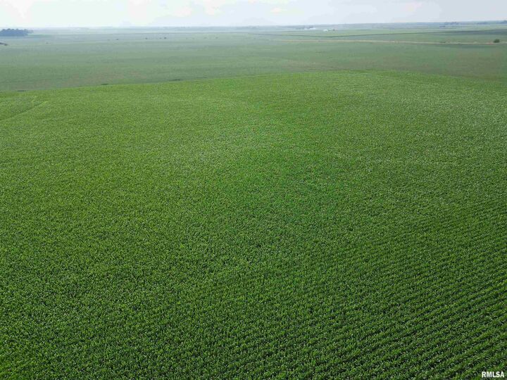 Property Photo:  0 County Road 2000 N County Road  IL 61570 