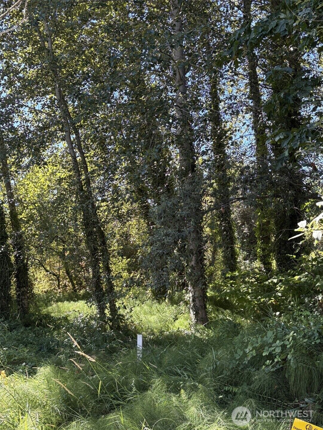 Property Photo: 8826 3rd Avenue S WA 98108