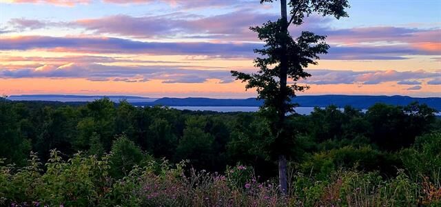 Property Photo:  5512 W Timber Wolf Court  MI 49630 