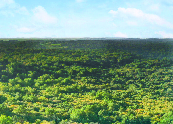 Property Photo:  June Road Lot 1  CT 06904
