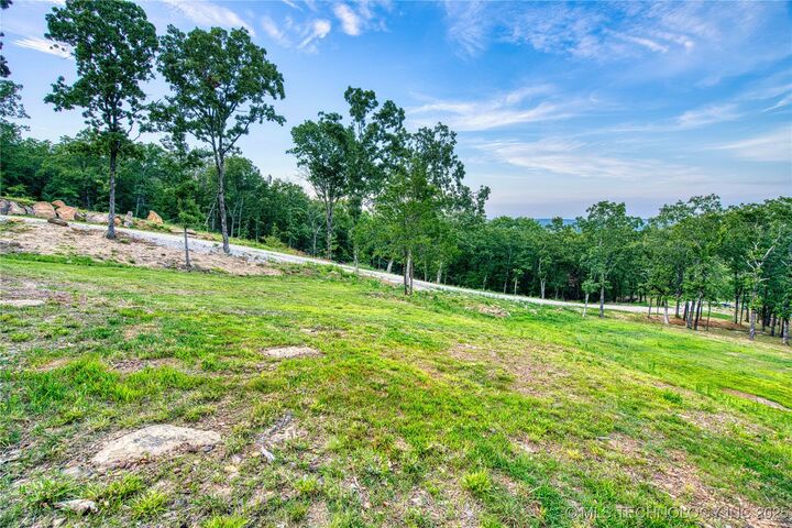 Property Photo: Hwy 100 OK 74435