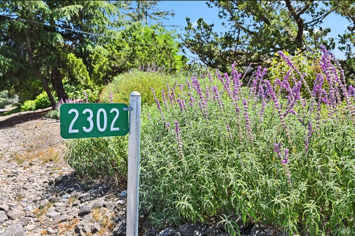 Property Photo:  2302 Curtis Drive  CA 94951 