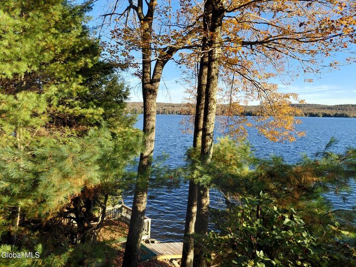 Property Photo: 530 N Shore Road NY 12078