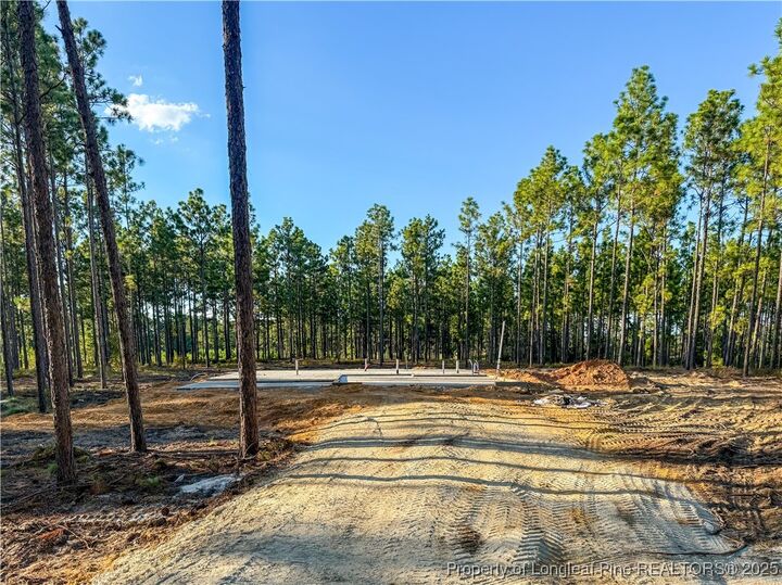 Property Photo: 3027 Fields (Lot 4) Road NC 28312