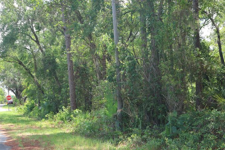 Property Photo:  4710 E Harvard Drive  FL 34442 