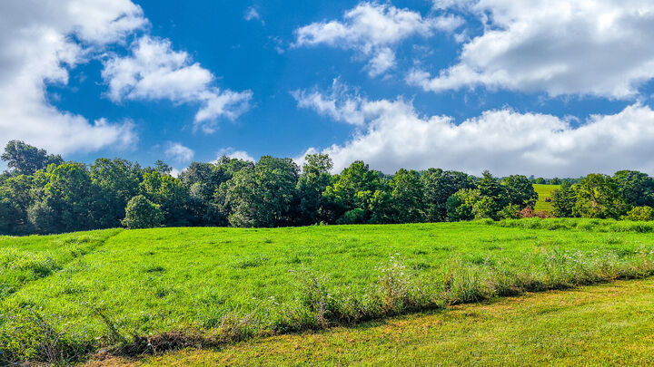 Property Photo: Lot #14 Evanwood Drive KY 40359