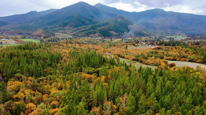Property Photo:  0 China Gulch Road  OR 97530 