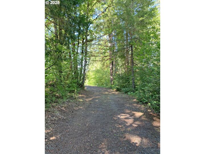 Property Photo:  McKenzie River Dr 1800  OR 97413 
