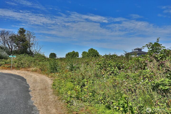 Property Photo:  0 Xxx  Frances Street  WA 98249 