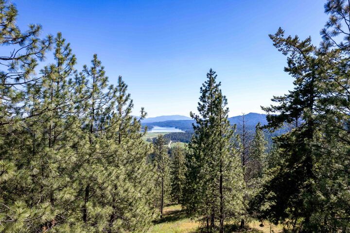 Property Photo:  Xxx N Singing Hills Dr Lot 1 Parcel #57211.9020  WA 99025 