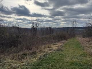 Property Photo:  15750 Bryson Rd  OH 45761 