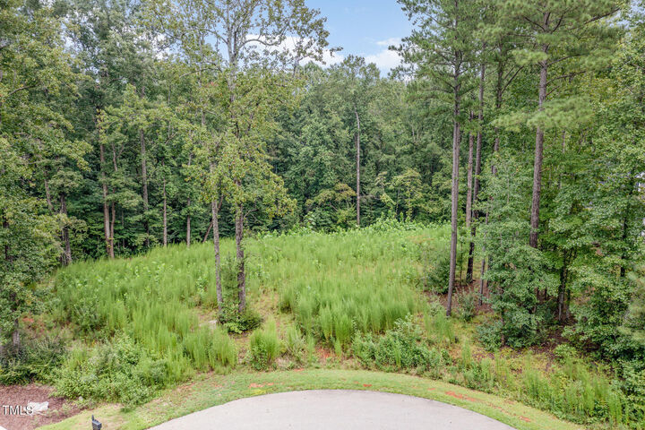 Property Photo:  60 Willow Creek Court  NC 27312 
