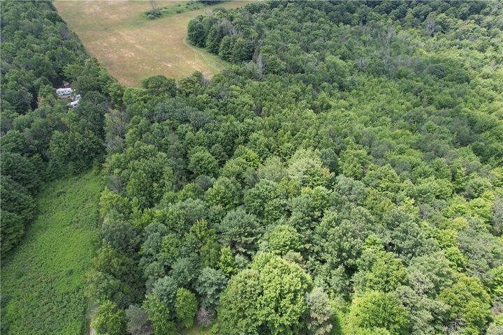 Property Photo: 0 Held #11 Greenbush Road NY 14838
