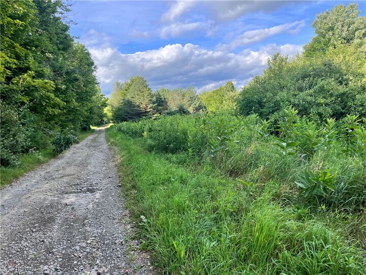 Property Photo: 0 - Held #12 Greenbush Road NY 14838