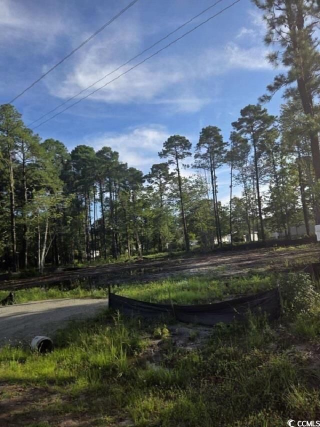 Property Photo:  63 Pinewood Dr.  NC 28467 