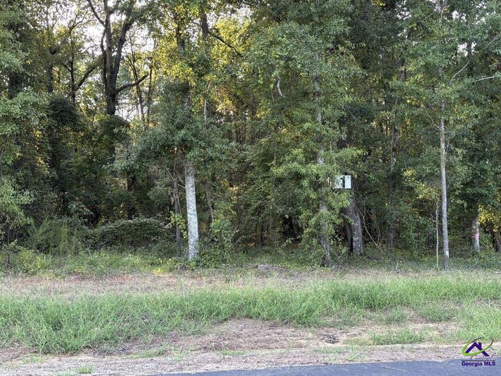 Property Photo:  Lot 1 Trojan Way  GA 31008 