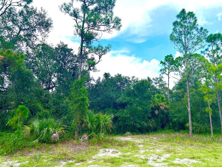 Property Photo: Las Almanos Avenue FL 34288