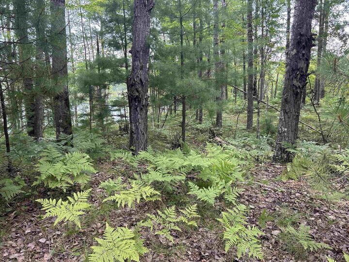 Property Photo:  Tbd Waucedah Road  MI 49892 