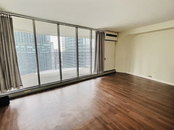 Property Photo: 300 N State Street 4325 IL 60654