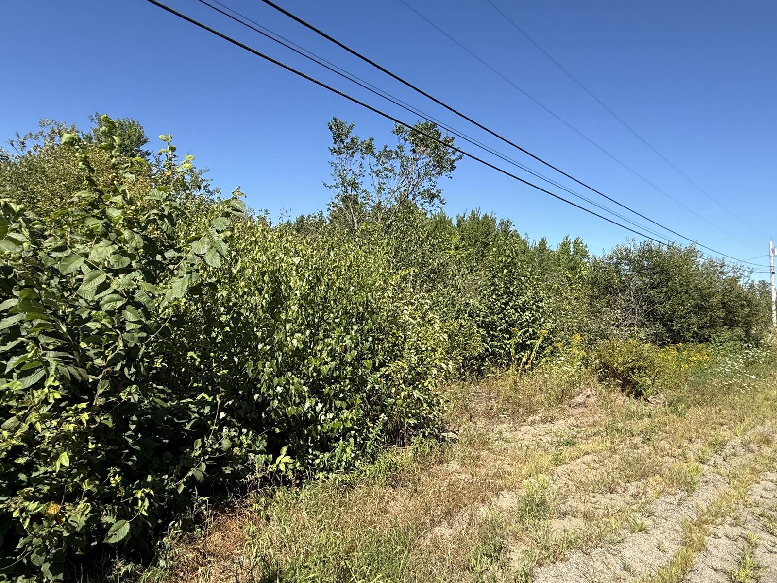 Property Photo:  9A Clark Road  ME 04450 