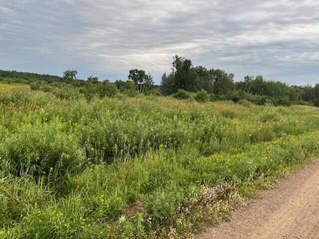 Property Photo:  2356 Olympic Street  MN 55007 