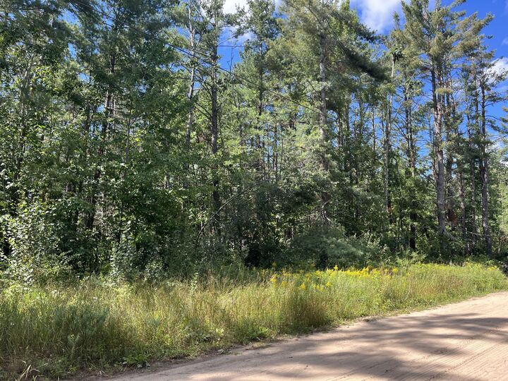 Property Photo: V/L .37 Ac Dorothy Drive MI 49735