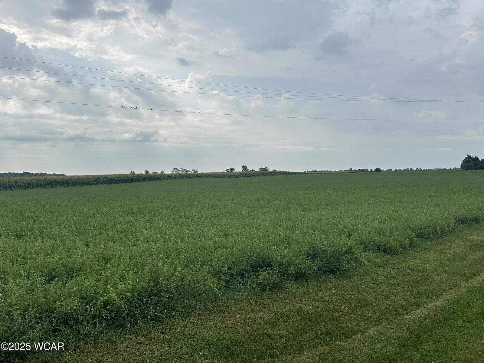 Property Photo:  0 Township 175 Road  OH 45890 
