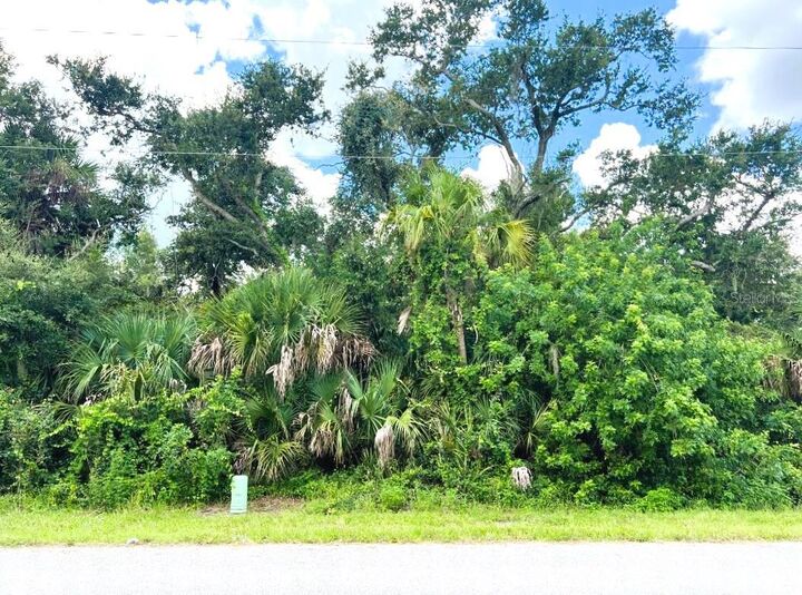 Property Photo: 323 Canora Drive FL 33954