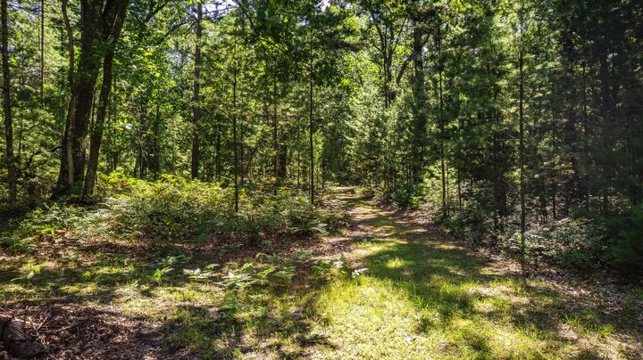 Property Photo: 0 N US Bus Route 31 MI 49449