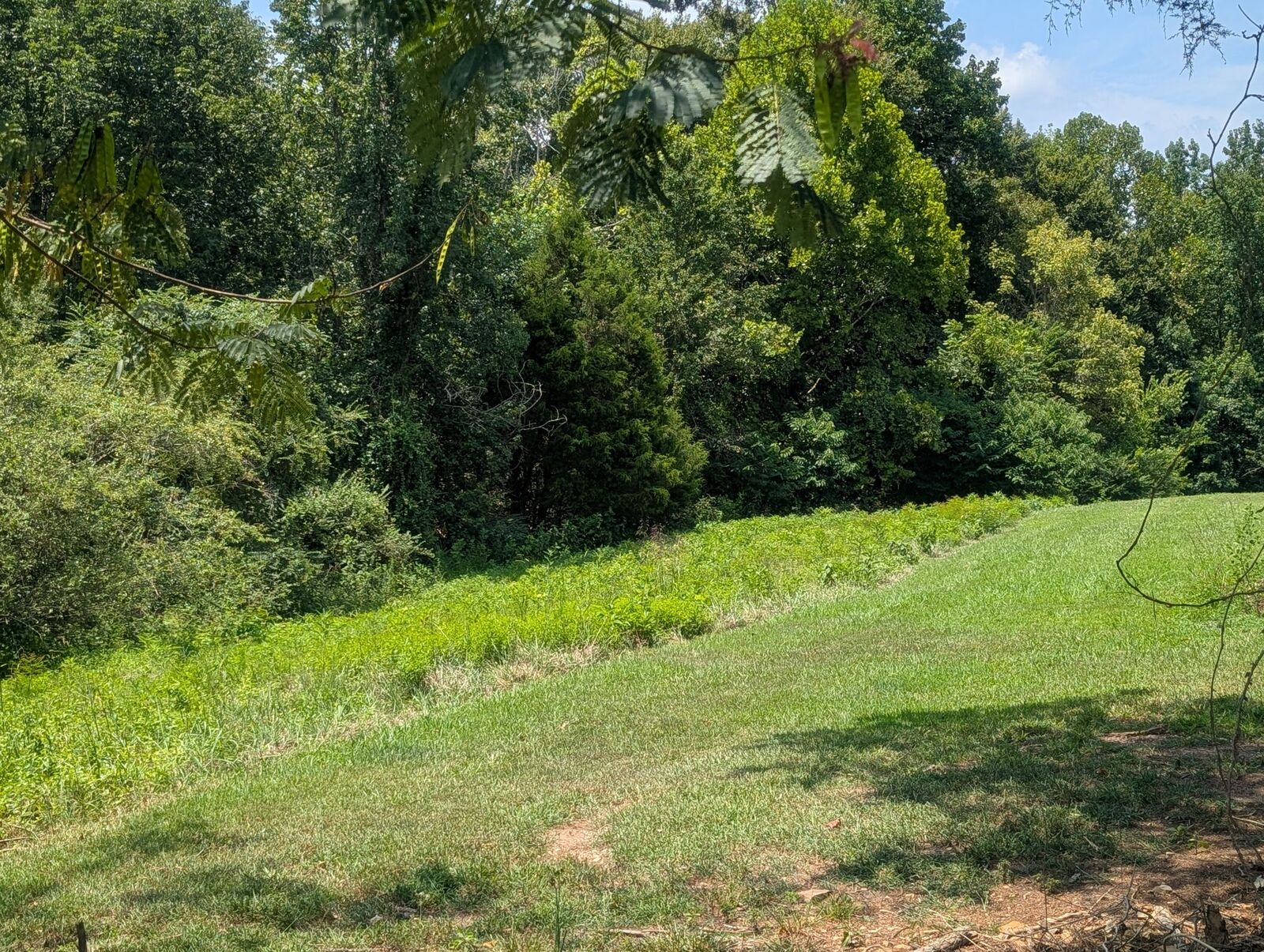 Property Photo:  0 Lake Bluff Rd  TN 38544 