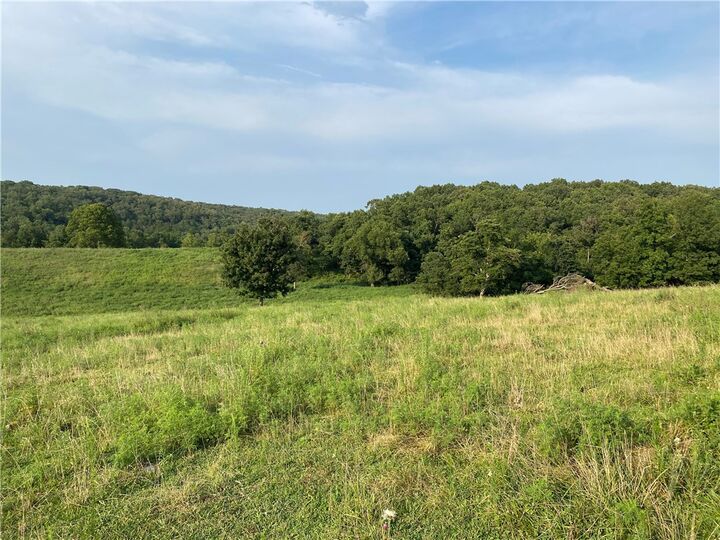 Property Photo: Tbd Madison 8500 Road AR 72738
