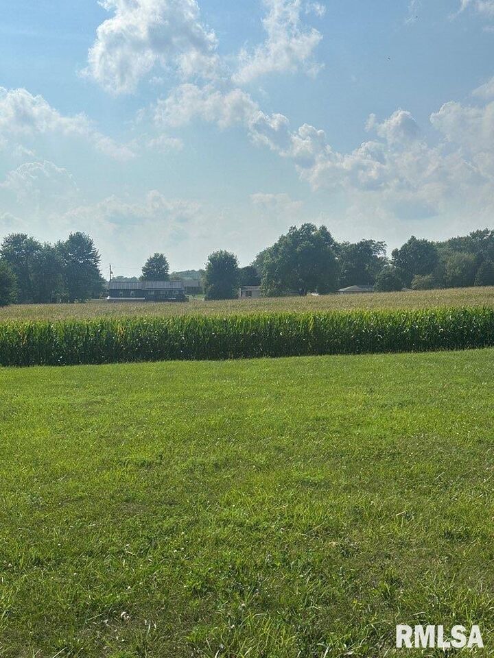 Adams Road  Eureka IL 61530 photo