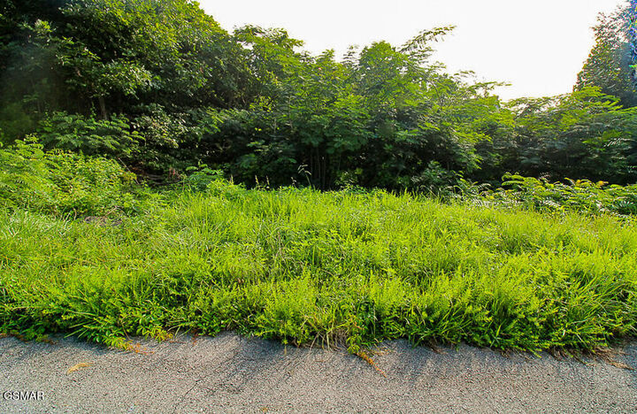 Property Photo:  335 W Pinnacle Drive  TN 37738 