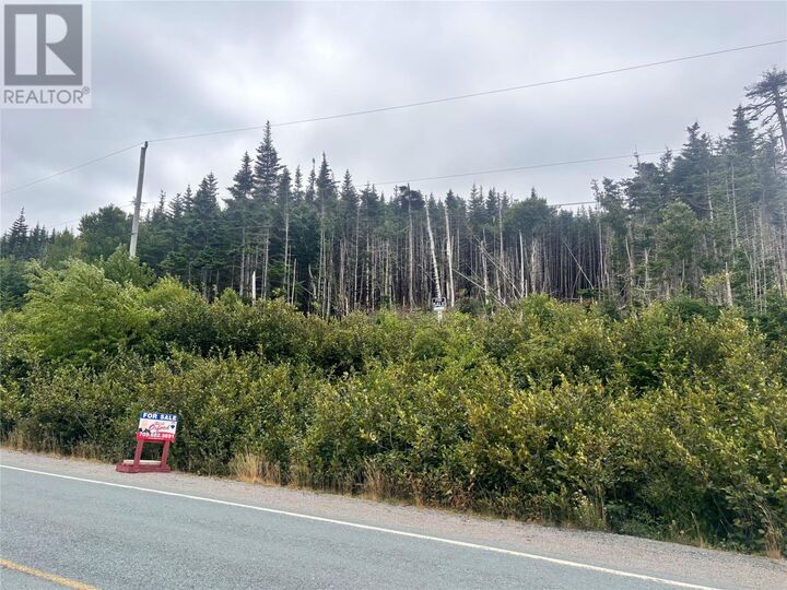 Lot 13 Main Highway Highway  Ferryland NL A0A 2H0 photo