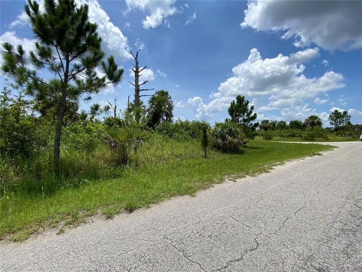 Property Photo:  Blueleaf Drive  FL 34288 