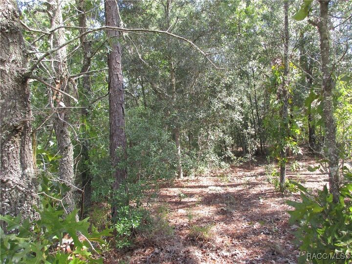 Property Photo: 8339 N Creek Way FL 34434
