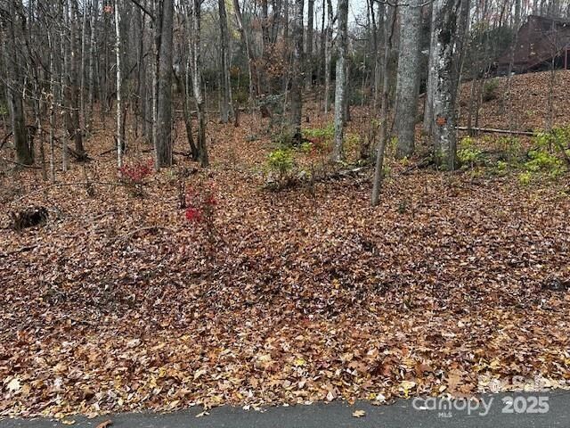 Property Photo:  309 Nottingham Road  NC 28751 