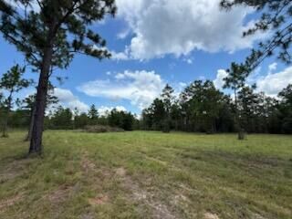 Property Photo: 1704 Watson Road FL 32433