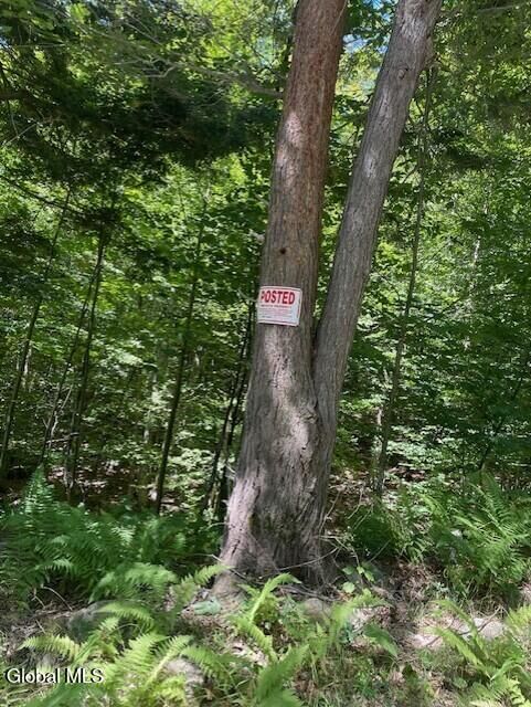 Property Photo:  L 11 Horse Hill Rd. Rear Road  NY 12134 