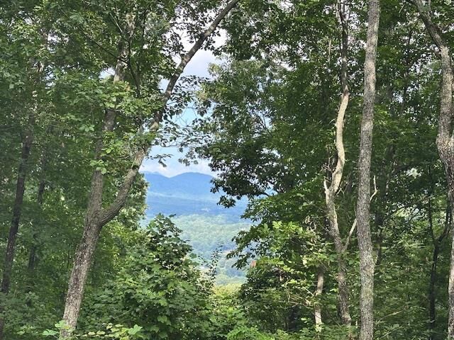 Property Photo: Lt 64/65 Rocky Knob Estates GA 30582