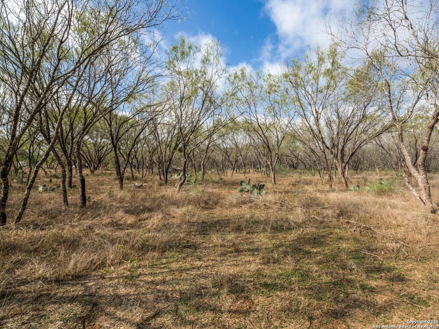 Property Photo:  13993 Jarratt Rd  TX 78002 