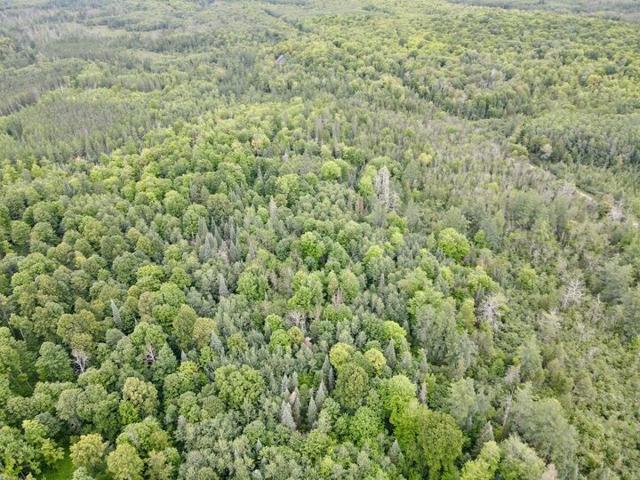 Property Photo: On McCord Rd N WI 54564