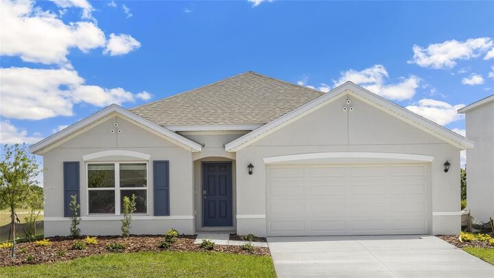 17213 Wheatberry Boulevard  Parrish FL 34219 photo