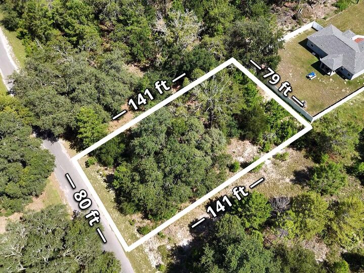 Property Photo: Malauka Track FL 32179